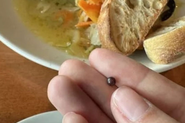 Nhật Bản đang biến thứ rác này thành vàng”, ai ngờ người Việt đã biết tận dụng chúng từ lâu-4