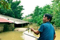 Chớp mắt, nước gần lút mái nhà, lão nông Thanh Hóa mất trắng hàng hecta ao cá