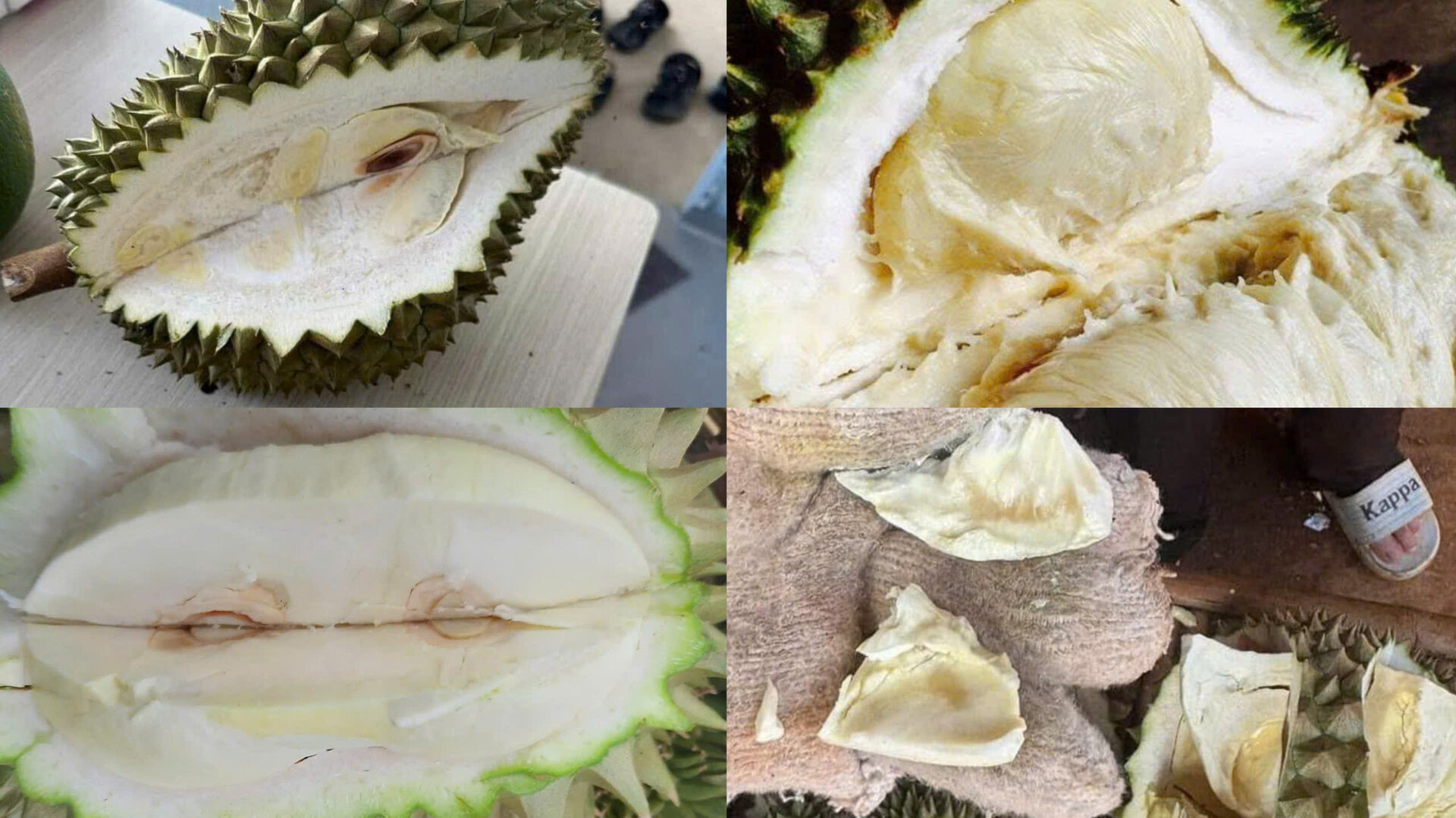 Mưa nắng thất thường, người trồng sầu riêng rớt nước mắt-2