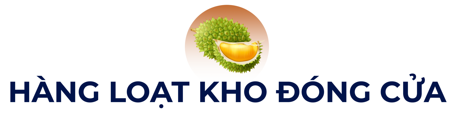 Mưa nắng thất thường, người trồng sầu riêng rớt nước mắt-5