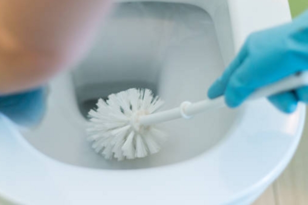 Mẹo trồng cây khế trĩu hoa, sai quả-2