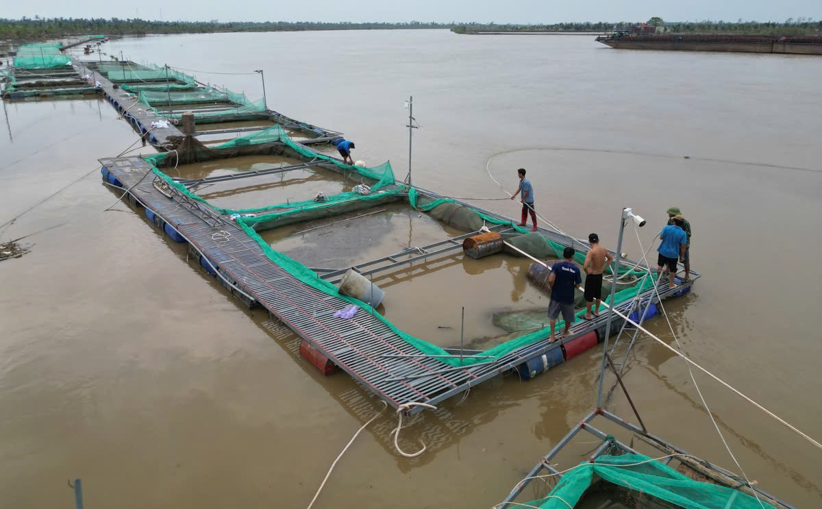 Tái thiết sau bão Yagi: Cách nào làm vơi nỗi buồn bên sông Luộc?-2