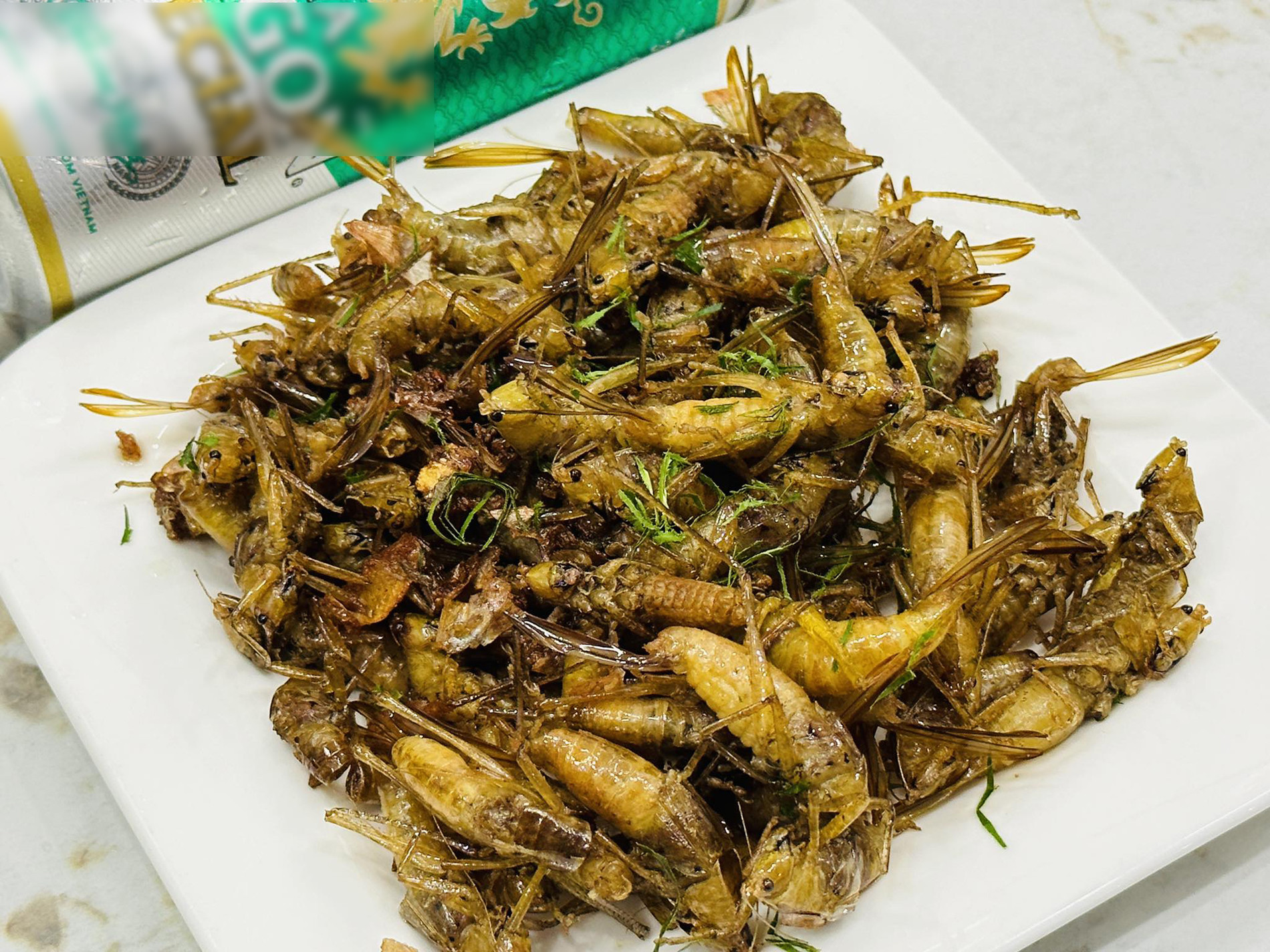 Đặc sản ‘tôm bay’ đắt ngang tôm hùm ở miền Bắc, khách có tiền cũng khó mua-3