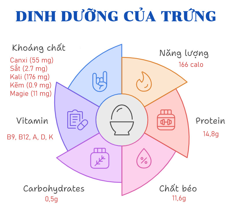 Tiến sĩ trẻ ăn 24 quả trứng mỗi ngày để chứng minh một điều-2