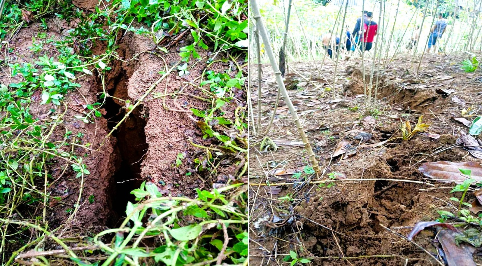 Khẩn cấp di dời hàng chục người sau vết nứt dài trên núi Pù Mèo-1