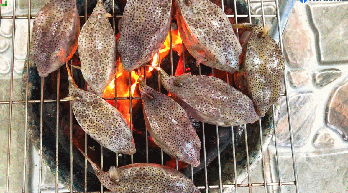 Đặc sản gà nước mặn ở Phú Yên giá tiền triệu, khách ‘đỏ mắt’ tìm mua-3