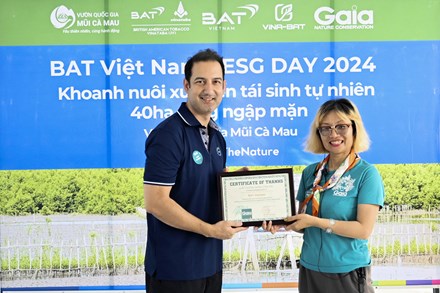 BAT Việt Nam hợp tác Gaia đẩy mạnh khoanh nuôi rừng ngập mặn Cà Mau