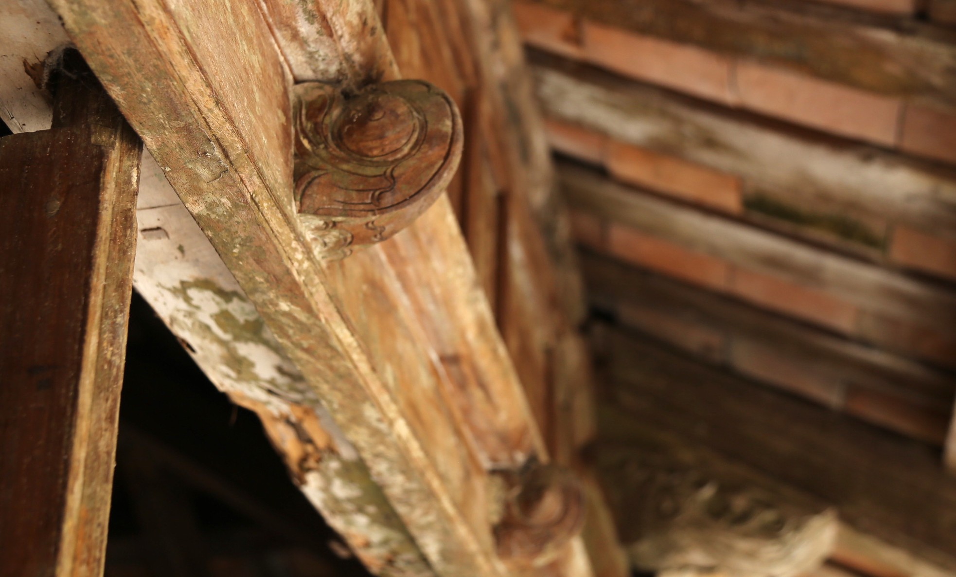 Ngắm ngôi nhà cổ gần 200 năm tuổi mát rượi quanh năm ở Quảng Nam-7