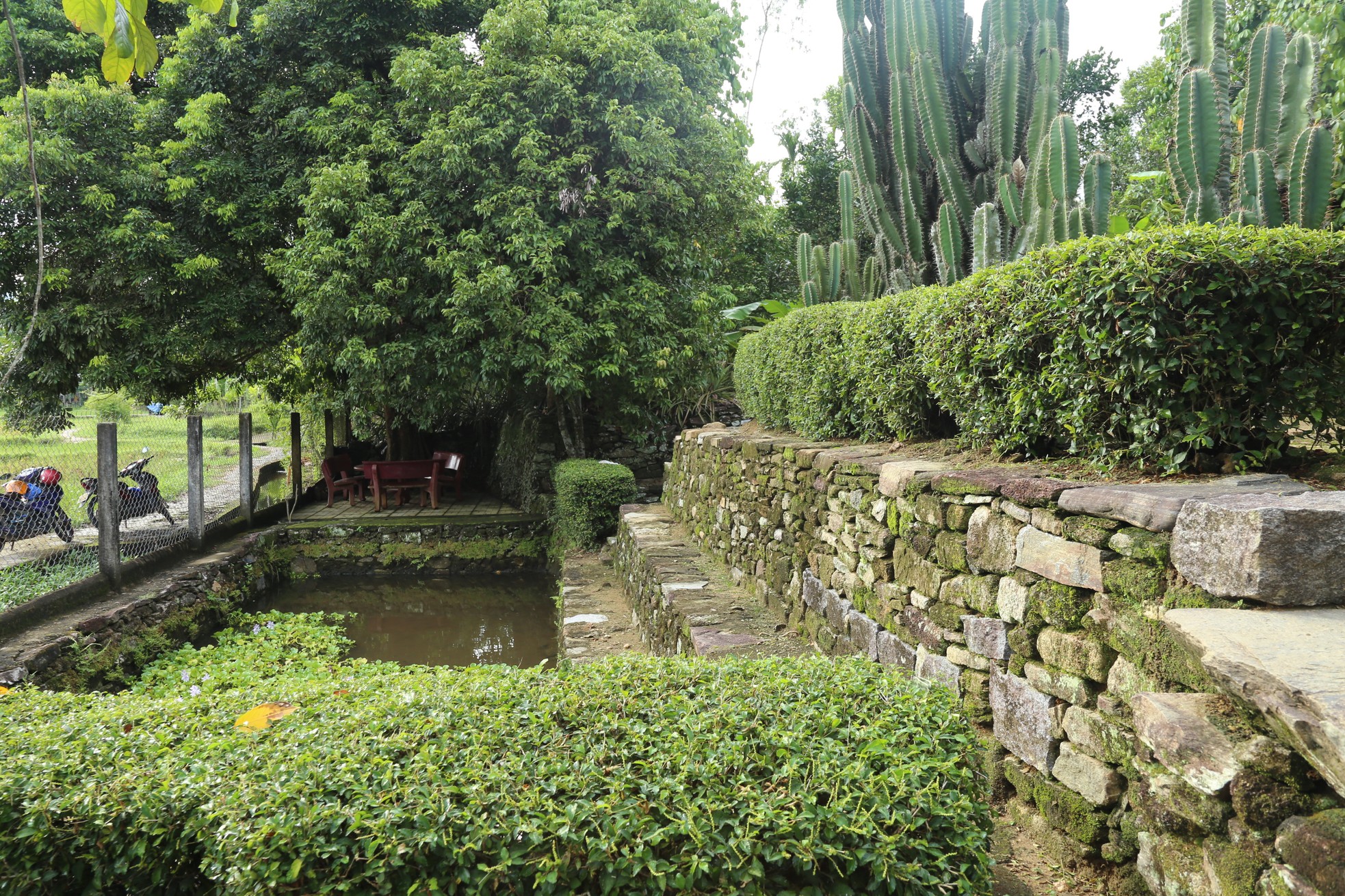 Ngắm ngôi nhà cổ gần 200 năm tuổi mát rượi quanh năm ở Quảng Nam-16