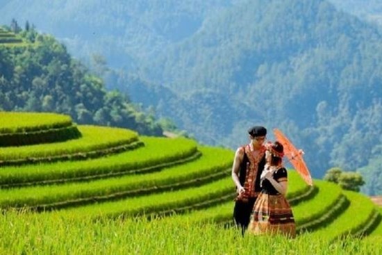 Tất tần tật kinh nghiệm du lịch Mù Cang Chải