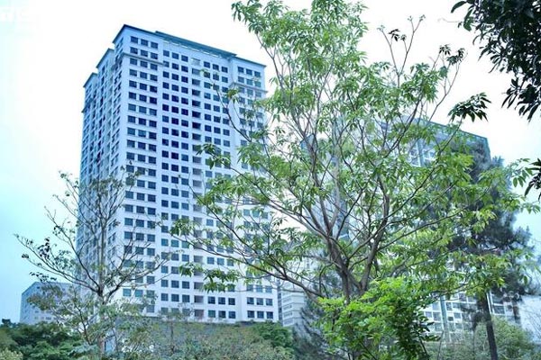 Không mua nổi nhà Hà Nội giá cao ngất, nhiều người bỏ về quê xây biệt thự-2