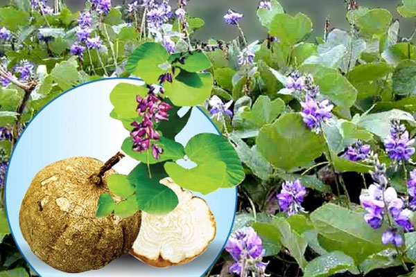 Ngứa râm ran, cảm giác như kim châm ở mặt cảnh báo nhiều bệnh nguy hiểm-4