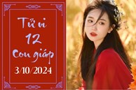 Tử vi 12 con giáp hôm nay ngày 3/10/2024: Tý phát triển, Ngọ ổn định