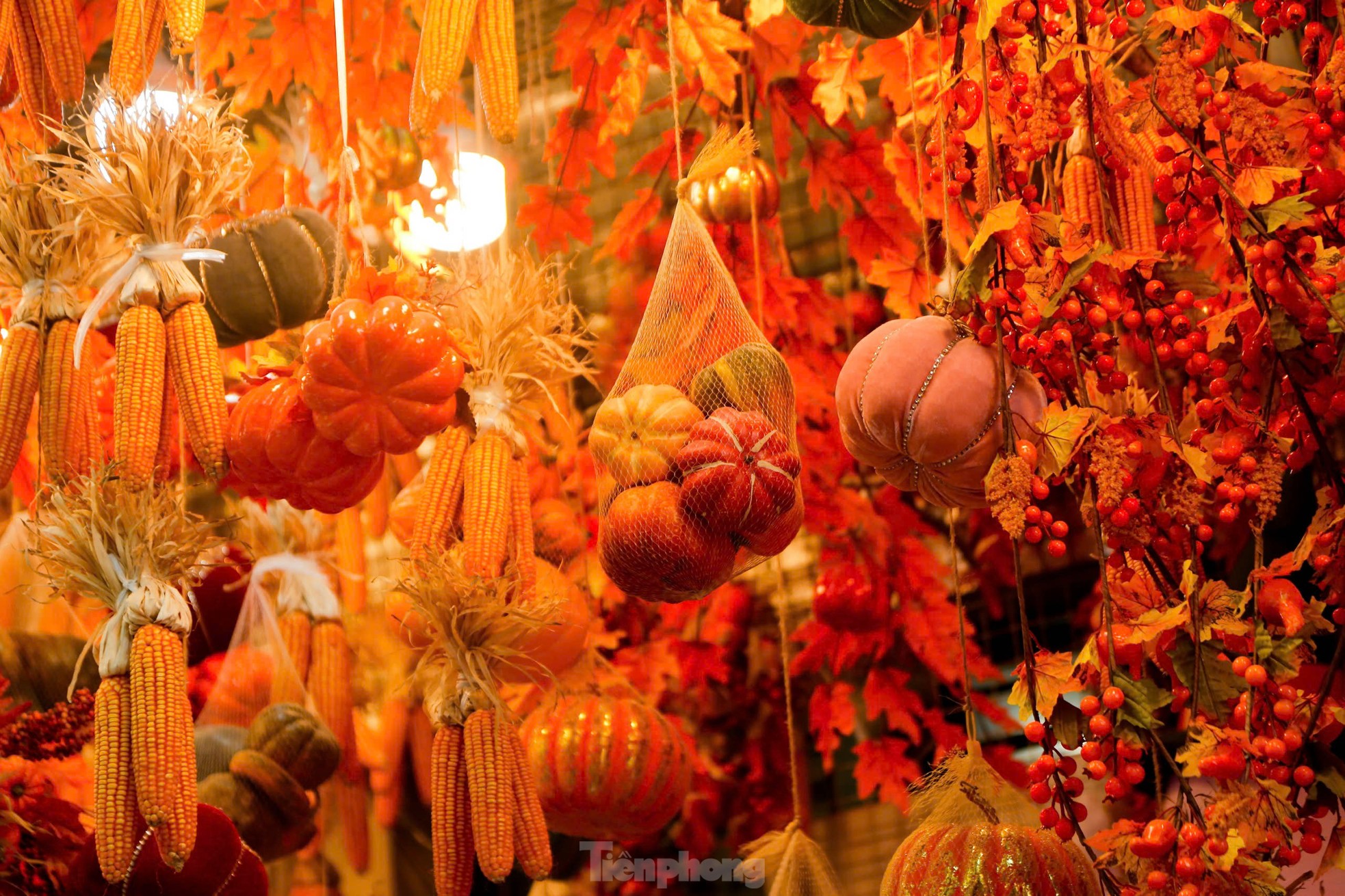 Phố Hàng Mã thay áo mới, ngập tràn màu sắc ma mị đón Halloween-2