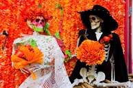 Phố Hàng Mã thay áo mới, ngập tràn màu sắc 'ma mị' đón Halloween