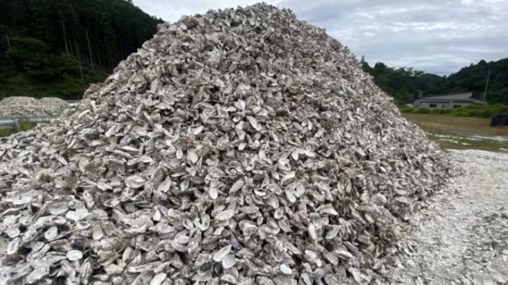 Nhật Bản đang biến thứ rác này thành vàng”, ai ngờ người Việt đã biết tận dụng chúng từ lâu-2