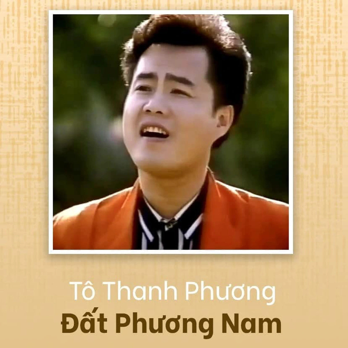 Ca sĩ Tô Thanh Phương Đất phương Nam gãy xương hàm vì ngã lầu-2