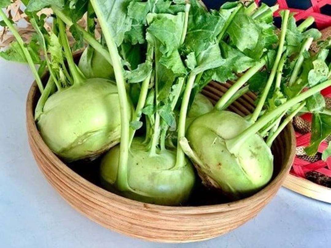 Đừng chỉ ăn củ, lá loại cây này quý như nhân sâm người nghèo nhiều người không biết thường vứt đi-1