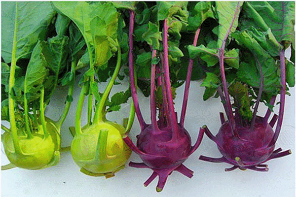 Cách làm món mực trộn chua cay cực dễ-3