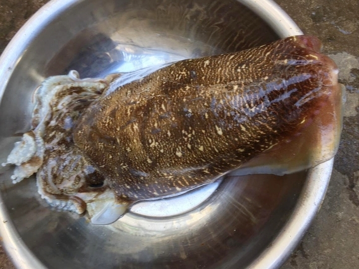 Cách làm món mực trộn chua cay cực dễ-1