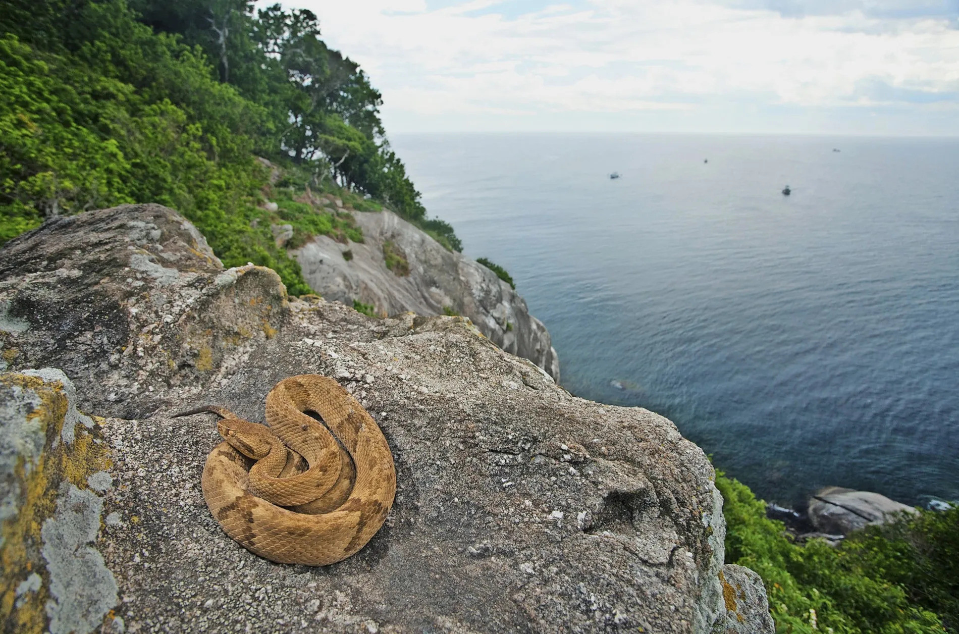 Bí mật đáng sợ ở hòn đảo tuyệt đẹp nhưng không ai dám cư trú-2