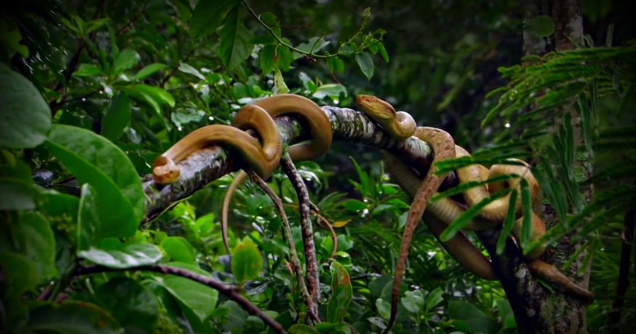 Bí mật đáng sợ ở hòn đảo tuyệt đẹp nhưng không ai dám cư trú-3