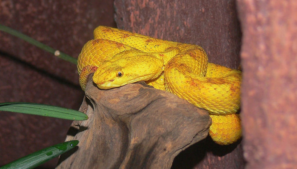 Bí mật đáng sợ ở hòn đảo tuyệt đẹp nhưng không ai dám cư trú-5