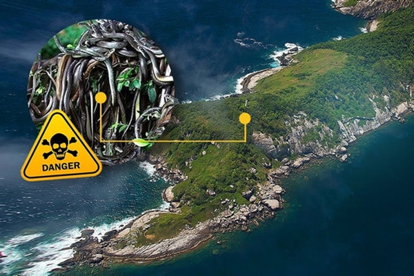 Bác sĩ bị đình chỉ hành nghề vì ép bệnh nhân khóc-1