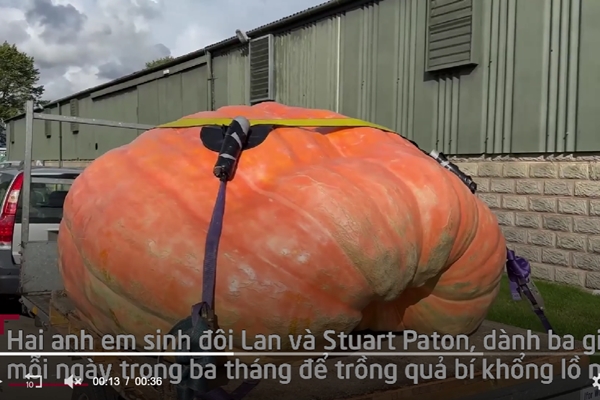 Tại sao bí ngô trở thành biểu tượng của Halloween?-3