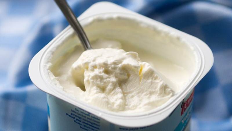 Cách bảo quản sữa chua đúng cách và bảo quản khi không có tủ lạnh-3