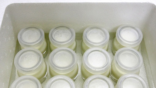 Cách bảo quản sữa chua đúng cách và bảo quản khi không có tủ lạnh-5