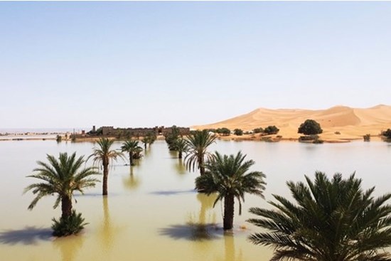 Sa mạc Sahara bất ngờ ngập lụt vì mưa dông, hồ cạn khô 50 năm giờ đầy nước
