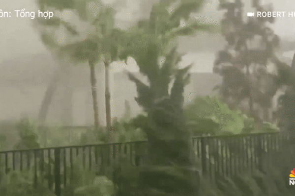 Mỹ: Sợ bão Milton, ông chủ buộc chặt nhà xuống đất-8