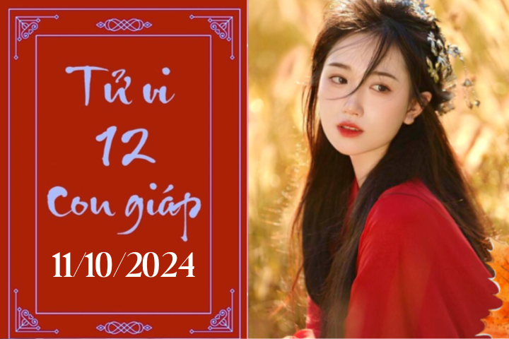 Tử vi 12 con giáp hôm nay ngày 11/10/2024: Thìn phát triển, Mùi khó khăn-1