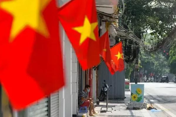 Nông dân Bến Tre nhổ bỏ hàng nghìn chậu cúc mâm xôi trồng để bán Tết-4