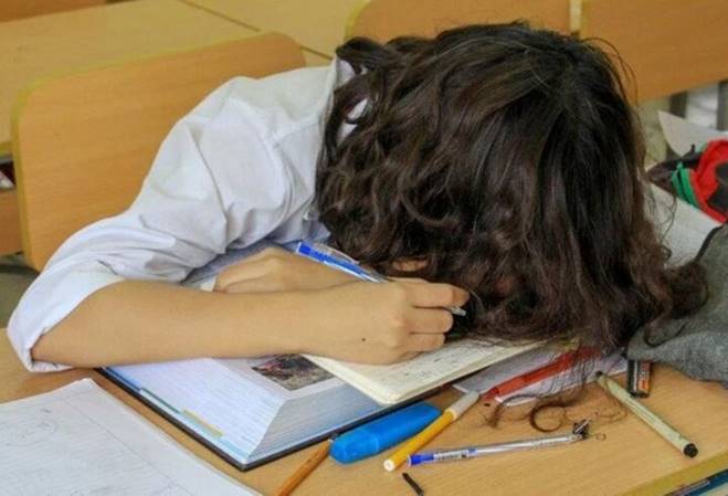 Ép học sinh giỏi toàn diện chẳng khác nào bắt cá leo cây-3