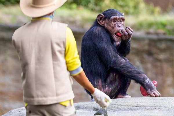 Đi bộ qua rừng, người đàn ông đã phát hiện điều đáng sợ-2