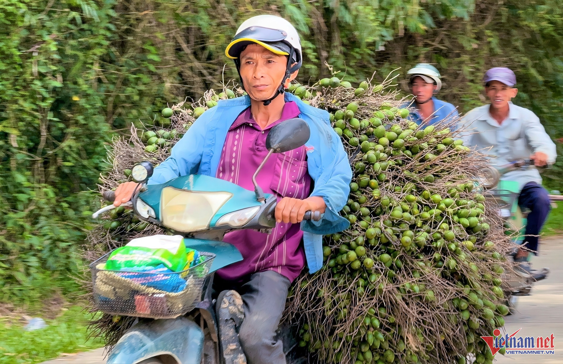 Giá tăng kỷ lục, 1 tấn cau tươi bằng cả lượng vàng-8