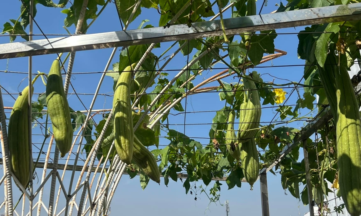 Giáng My trang hoàng biệt thự 1.000 m2 mở tiệc đãi bạn bè, hé lộ cuộc sống độc thân yên bình trong biệt thự sang-25