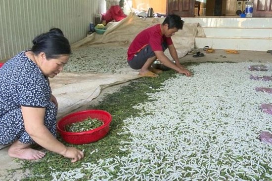 Thu nhập cao nhờ nghề 'ăn cơm đứng'