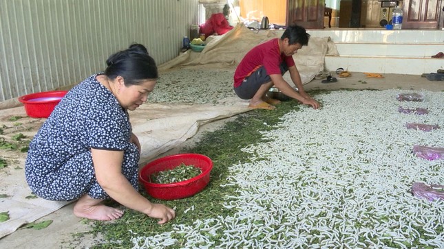 Thu nhập cao nhờ nghề ăn cơm đứng-1