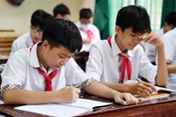 'Học nguyên Toán, Văn, Anh để thi vào lớp 10 cũng là học lệch'