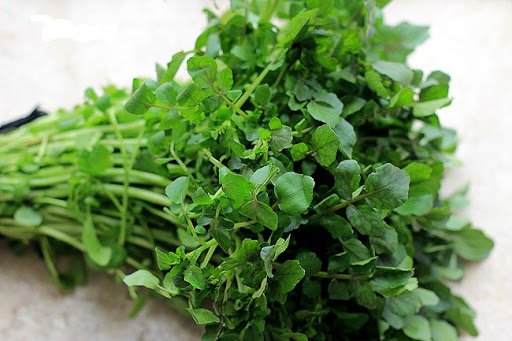 4 loại rau là ổ chứa giun sán, nhiều người không biết vẫn vô tư ăn-1