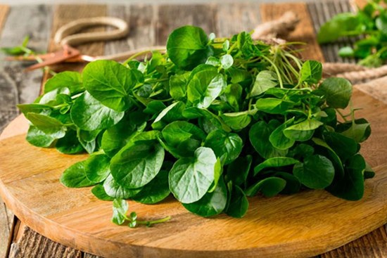 4 loại rau là 