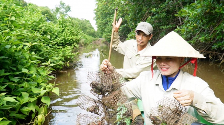 Săn chù ụ mặt ngầu trong rừng ngập mặn kiếm nửa triệu mỗi ngày-8