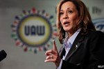 Bà Kamala Harris gọi điện chúc mừng ông Trump, thừa nhận thất bại-2