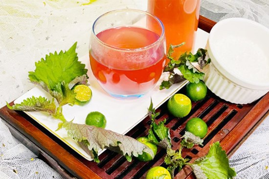 Các bài thuốc chữa bệnh từ lá tía tô thường gặp