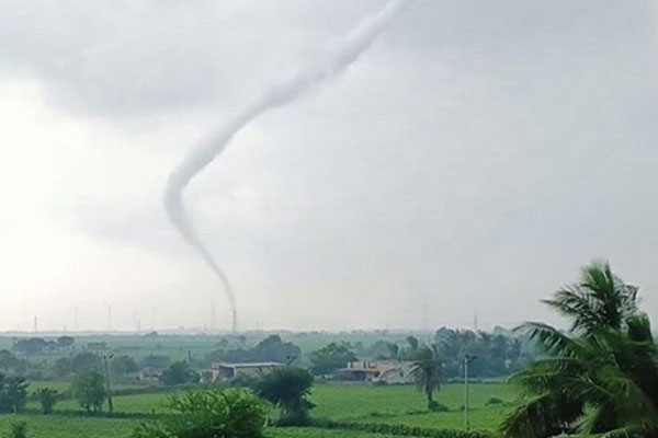 Thực hư chuyện rắn bò trên cây ATM khiến nhiều người tin là điềm lành năm mới-4