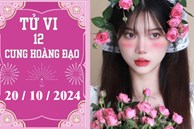 Tử vi 12 cung hoàng đạo ngày 20/10: Kim Ngưu thuận lợi, Bảo Bình phát triển