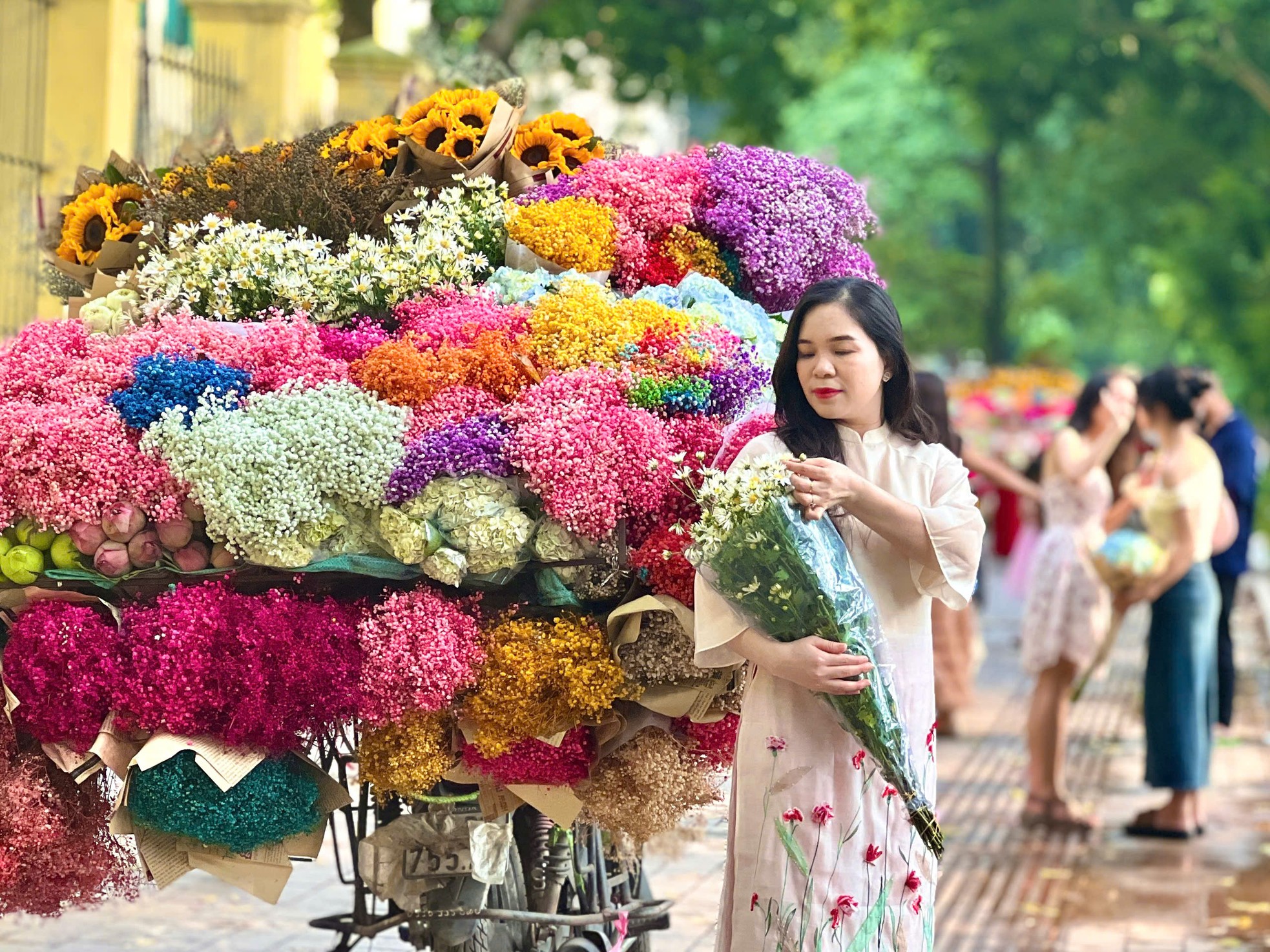 Những bó cúc hoạ mi sống sót sau mưa lũ khoe sắc giữa phố phường Thủ đô-8